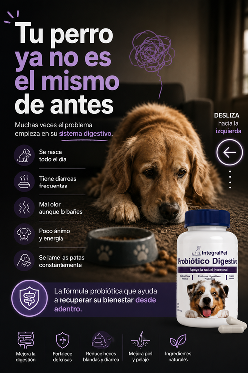 Integral pet