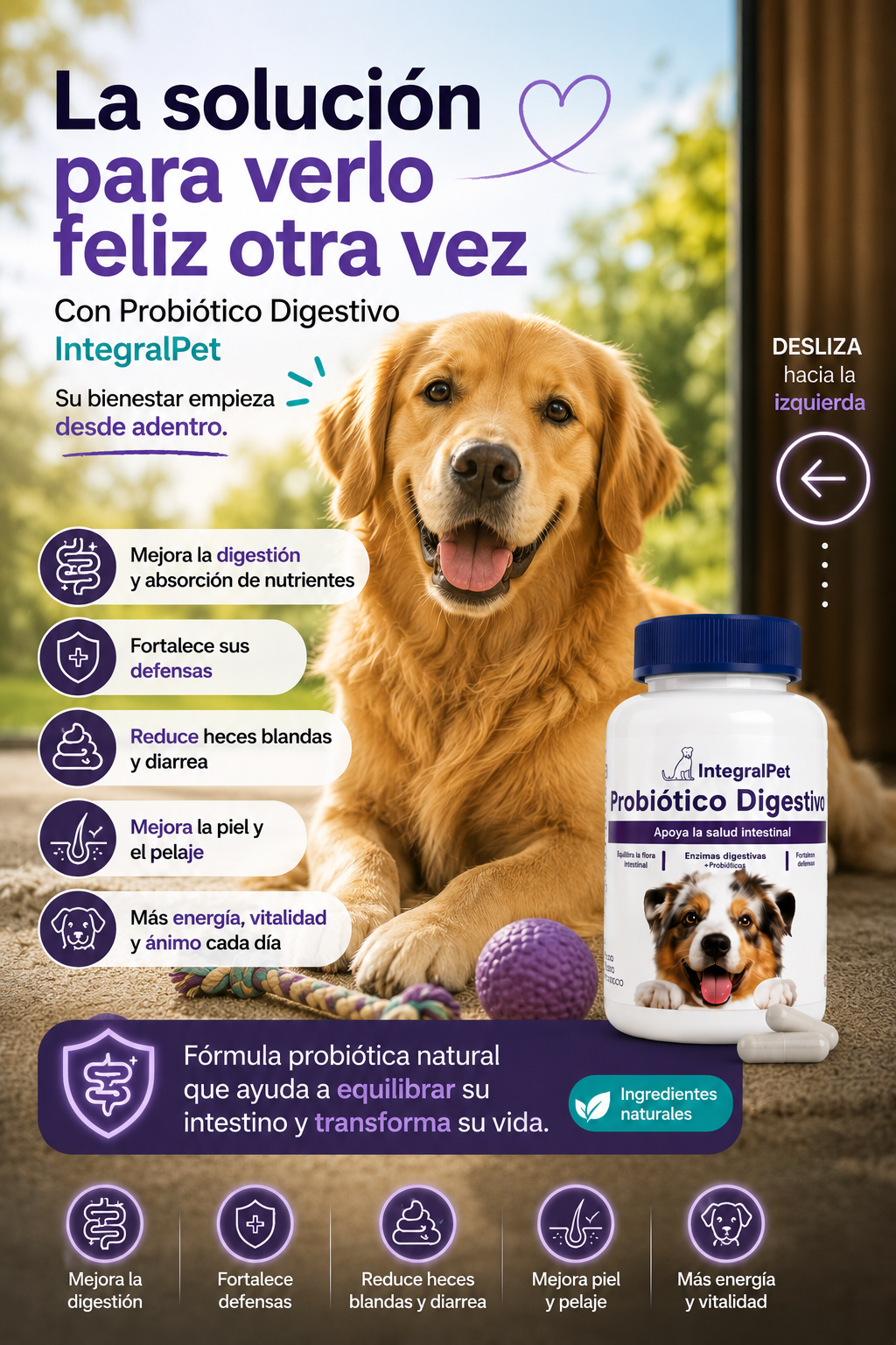 Integral pet